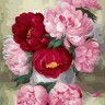 Paintboy GX36873 Розово-красные пионы
