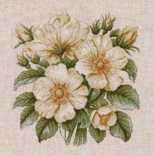 Овен 1731 Дикий шиповник