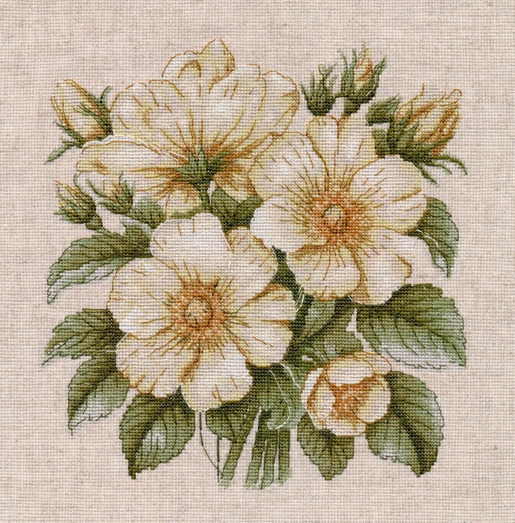 Овен 1731 Дикий шиповник