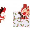 Rayher 56903000 Декоративные прищепки с украшением "Санта Клаус" и конвертом