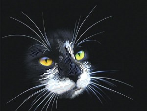 Матренин Посад 4102 Черный кот