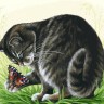 Белоснежка 148-AS Игры в открытом воздухе