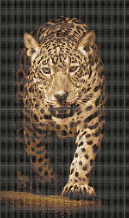 Каролинка ТКБЖ 2005 Хищники. Леопард