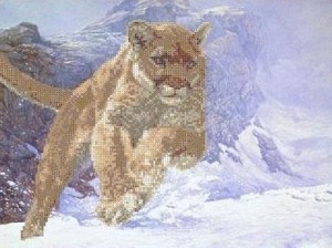 Каролинка ТКБЖ 3025 Пума