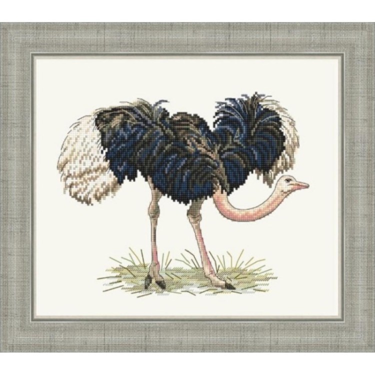 Набор для вышивания Сделано с любовью Ж-077 Африканский страус