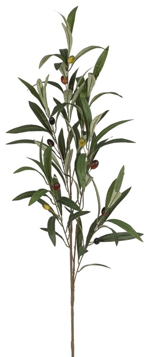 Fiebiger Floristik 162721-809 Ветка декоративная "Олива"