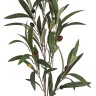 Fiebiger Floristik 162721-809 Ветка декоративная "Олива"