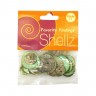 Blumenthal Lansing 1850 00017 Пуговицы "Shellz" Agoya Green