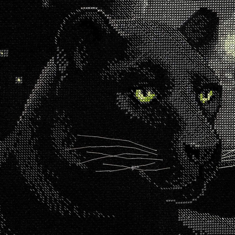 Набор для вышивания Риолис 100/010 Полнолуние