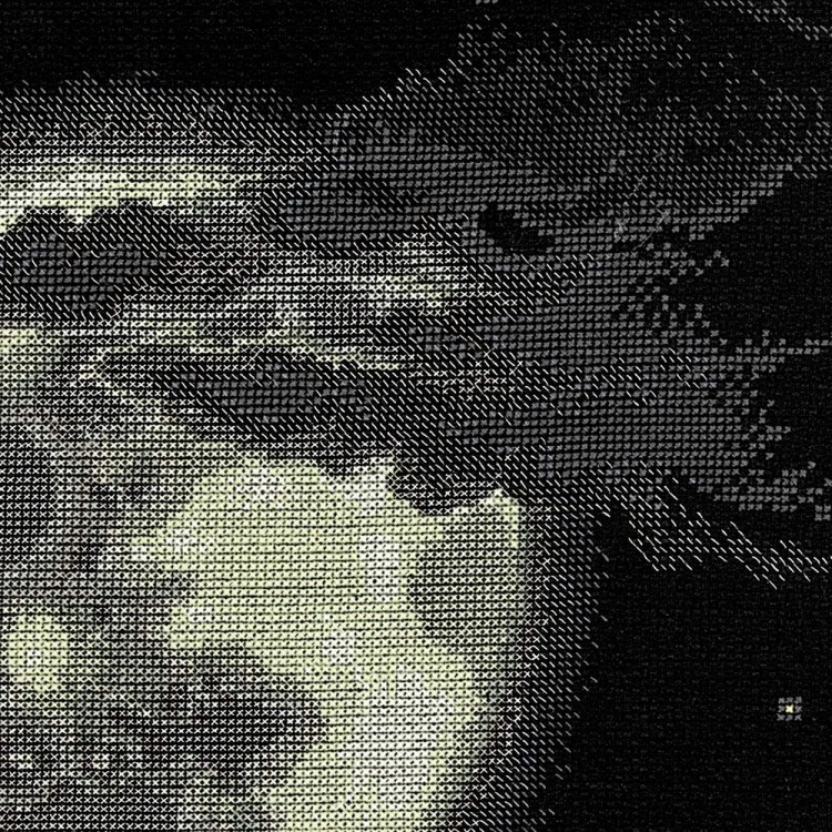 Набор для вышивания Риолис 100/010 Полнолуние