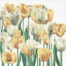 Набор для вышивания Thea Gouverneur 3065 Tulips
