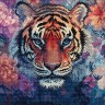 Набор для вышивания LetiStitch L9957 Глаза дикой природы
