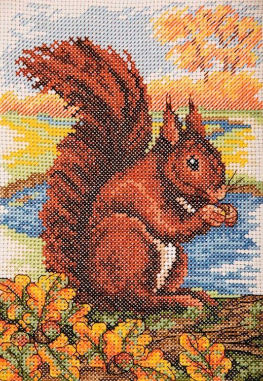 Набор для вышивания Anchor AK137 Red Squirrel