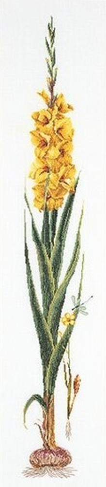 Thea Gouverneur 3072 Gladioli Yellow (Желтый гладиолус)