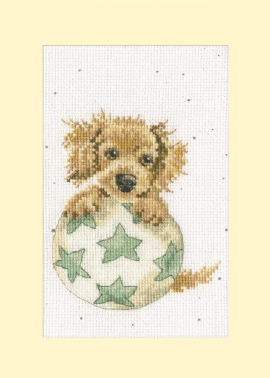 Набор для вышивания Bothy Threads XGC47 Bouncing Birthday (Веселый день рождения)