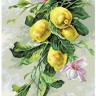 Матренин Посад 1819 Лимонный вальс