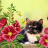 Матренин Посад 4115 Котофей