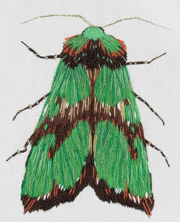 Набор для вышивания Панна JK-2179 Зеленый мотылек