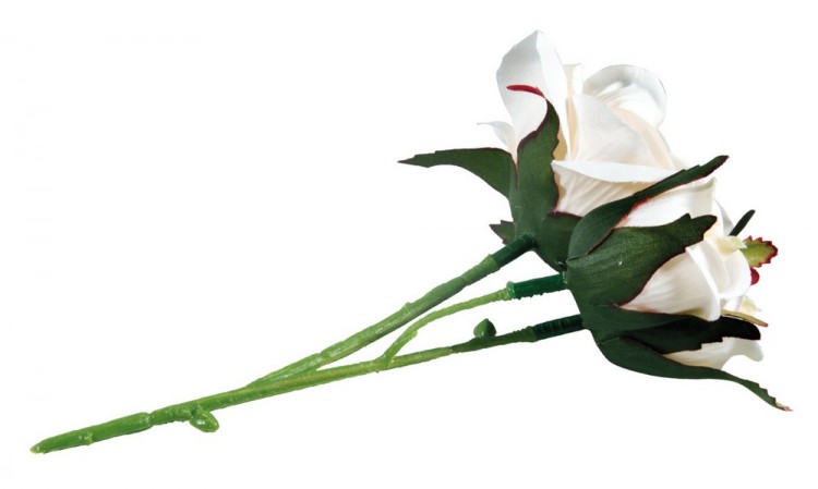 Rayher 55903102 Букет для декорирования "Белые розы" Rayher 55903102 Букет для декорирования "Белые розы"