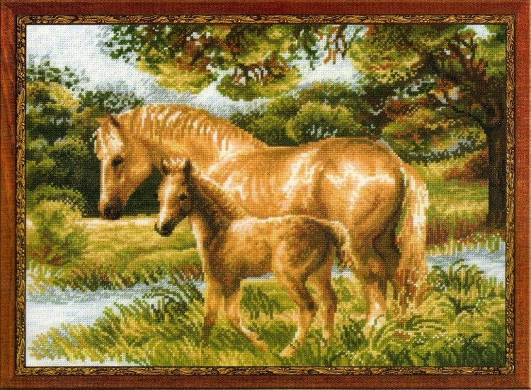 Набор для вышивания Риолис 1258 Лошадь с жеребёнком