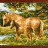 Набор для вышивания Риолис 1258 Лошадь с жеребёнком