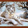 Набор для вышивания Риолис 1184 Бенгальский тигр