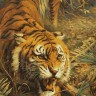 Белоснежка 313-CG Свирепый хищник