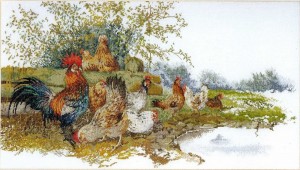 Thea Gouverneur 2038 Chickens