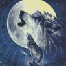 Паутинка М-355 Лунные волки