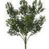 Fiebiger Floristik 108538-800 Ветка декоративная "Самшит"