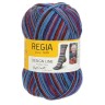 Пряжа для вязания Regia 9801270 Design Line 4-ply (Дизайн Лайн 4 нитки)