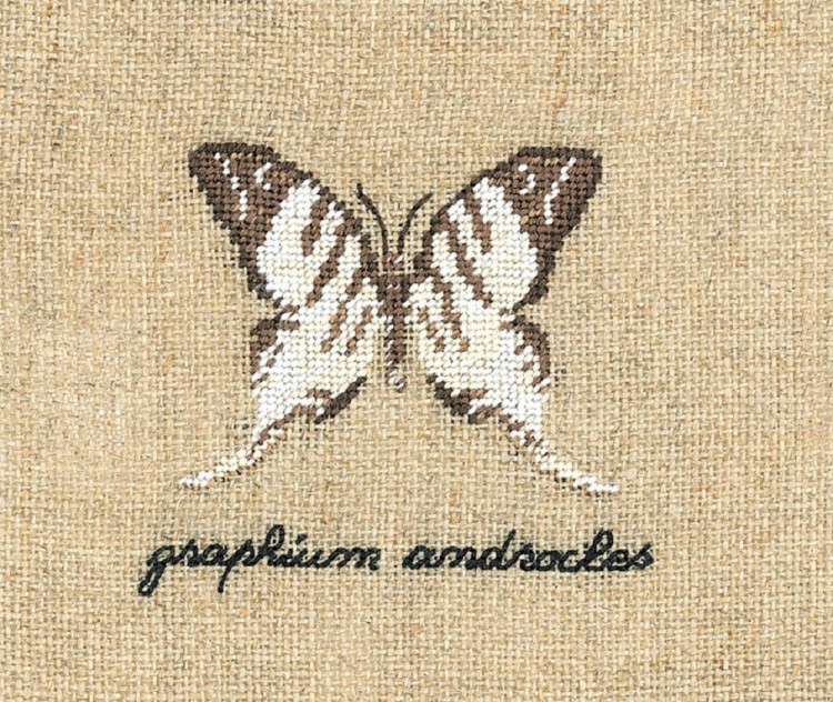 Набор для вышивания Le Bonheur des Dames 3623 Papillon Graphium (Бабочка Graphium)