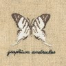 Набор для вышивания Le Bonheur des Dames 3623 Papillon Graphium (Бабочка Graphium)