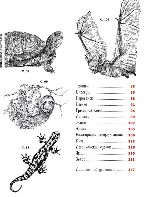 Рисуем животных ручками и маркерами: 26 реалистичных проектов