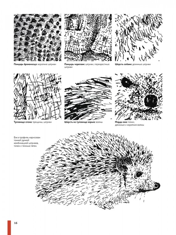 Рисуем животных ручками и маркерами: 26 реалистичных проектов