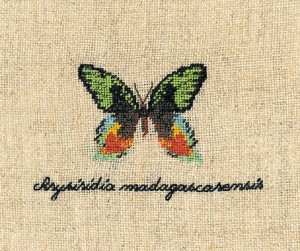Le Bonheur des Dames 3624 Papillon Chrysiridia (Бабочка Chrysiridia)