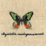 Набор для вышивания Le Bonheur des Dames 3624 Papillon Chrysiridia (Бабочка Chrysiridia)