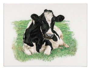 Thea Gouverneur 451 Корова