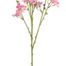 Fiebiger Floristik 203861-400 Ветка декоративная "Миндаль"
