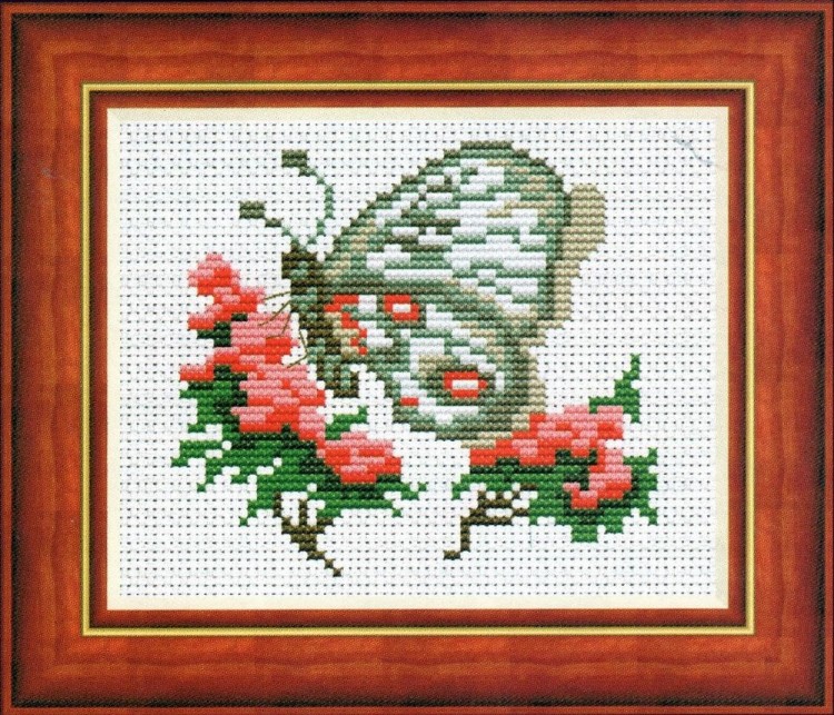 Набор для вышивания Панна D-0211 (Д-0211) Бабочка Аполлон