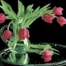 Jing Cai Ge 7225 Нежные тюльпаны