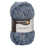 Пряжа для вязания Schachenmayr Fashion 9807587 Cosy Wool (Кози Вул)