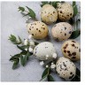 PAW Decor Collection SDL120603 Салфетка трехслойная для декупажа "Натуральные яйца"