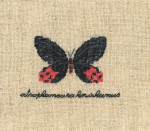 Le Bonheur des Dames 3625 Papillon Atrophaneura( Бабочка Atrophaneura)