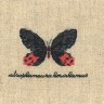 Набор для вышивания Le Bonheur des Dames 3625 Papillon Atrophaneura( Бабочка Atrophaneura)