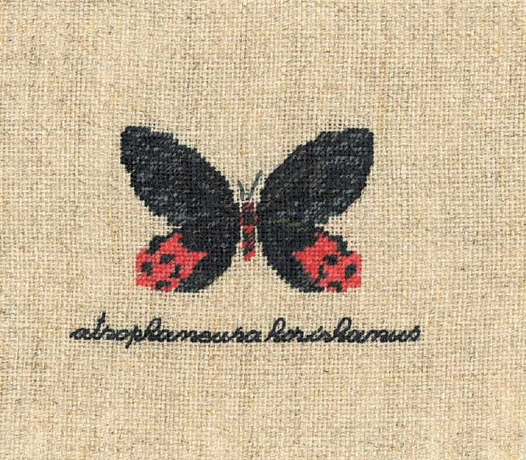 Набор для вышивания Le Bonheur des Dames 3625 Papillon Atrophaneura( Бабочка Atrophaneura)