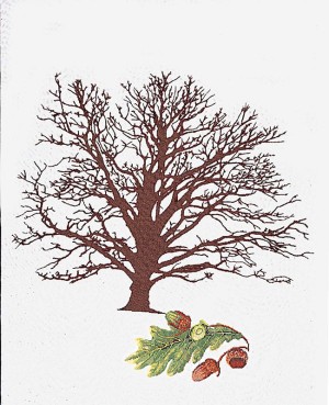 Thea Gouverneur 831 Дуб