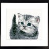 Набор для вышивания Vervaco PN-0153747 Серый котёнок