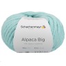 Schachenmayr 9807588-00065