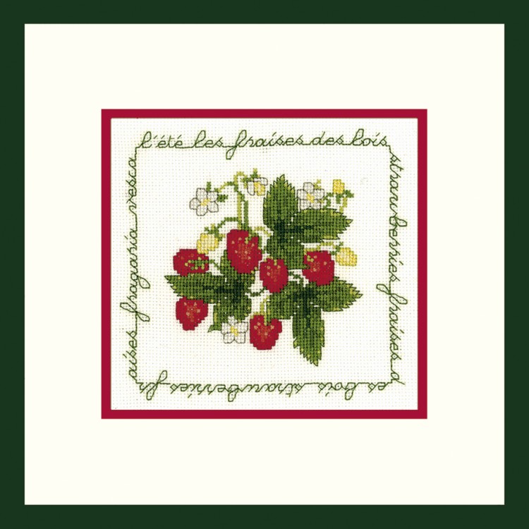 Набор для вышивания Le Bonheur des Dames 2218 Les Fraises (Земляника)